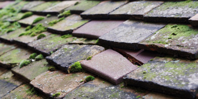 Oakington roof repair costs
